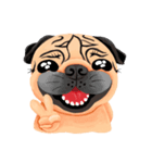 SihWun's Pug World (Part.1)（個別スタンプ：16）