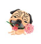 SihWun's Pug World (Part.1)（個別スタンプ：18）