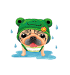 SihWun's Pug World (Part.1)（個別スタンプ：19）