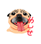 SihWun's Pug World (Part.1)（個別スタンプ：40）