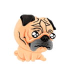 SihWun's Pug World (Part.2)（個別スタンプ：33）