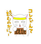 はちまきねこ（個別スタンプ：5）