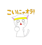 はちまきねこ（個別スタンプ：11）