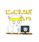 はちまきねこ（個別スタンプ：12）