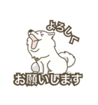 Japanese Spitz - Ca Pwae（個別スタンプ：1）