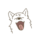 Japanese Spitz - Ca Pwae（個別スタンプ：3）