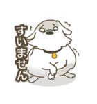 Japanese Spitz - Ca Pwae（個別スタンプ：6）