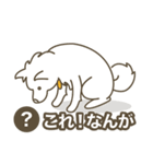 Japanese Spitz - Ca Pwae（個別スタンプ：13）