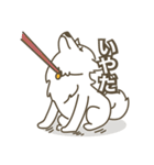 Japanese Spitz - Ca Pwae（個別スタンプ：32）