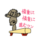 体操わんこ（個別スタンプ：8）