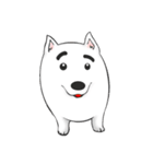 Japanese Spitz（個別スタンプ：1）