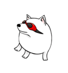 Japanese Spitz（個別スタンプ：2）