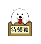 Japanese Spitz（個別スタンプ：4）