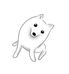 Japanese Spitz（個別スタンプ：7）