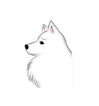 Japanese Spitz（個別スタンプ：9）