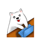 Japanese Spitz（個別スタンプ：16）