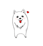 Japanese Spitz（個別スタンプ：20）