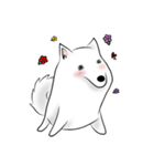 Japanese Spitz（個別スタンプ：21）