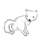 Japanese Spitz（個別スタンプ：26）