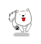 Japanese Spitz（個別スタンプ：33）