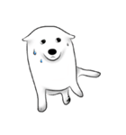 Japanese Spitz（個別スタンプ：39）