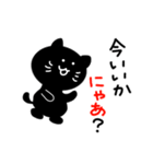 黒にゃんこ（個別スタンプ：11）