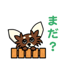 チワワ生活。（個別スタンプ：9）