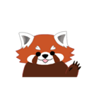 little red panda（個別スタンプ：1）