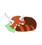 little red panda（個別スタンプ：6）