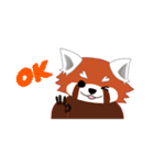 little red panda（個別スタンプ：11）