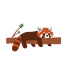 little red panda（個別スタンプ：15）