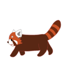 little red panda（個別スタンプ：20）