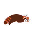 little red panda（個別スタンプ：29）