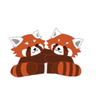 little red panda（個別スタンプ：33）