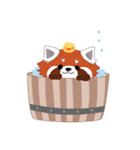 little red panda（個別スタンプ：38）