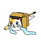 Happy calico cat（個別スタンプ：38）