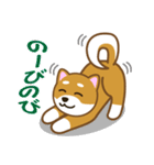 柴犬たろう（個別スタンプ：2）