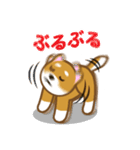 柴犬たろう（個別スタンプ：3）