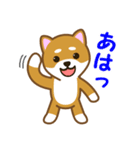 柴犬たろう（個別スタンプ：7）