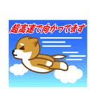 柴犬たろう（個別スタンプ：16）