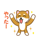 柴犬たろう（個別スタンプ：18）