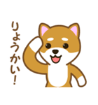 柴犬たろう（個別スタンプ：30）