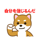 柴犬たろう（個別スタンプ：33）