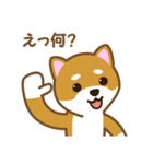 柴犬たろう（個別スタンプ：34）