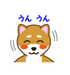 柴犬たろう（個別スタンプ：35）