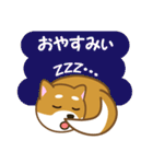 柴犬たろう（個別スタンプ：40）