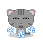 Mix Cat Ding-Ding（個別スタンプ：30）