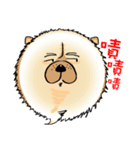 Funny Chow Chow for Life（個別スタンプ：5）