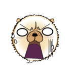 Funny Chow Chow for Life（個別スタンプ：6）