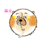 Funny Chow Chow for Life（個別スタンプ：11）